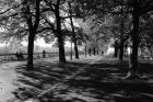 La Promenade de la Treille