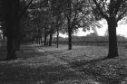 La promenade de la Treille